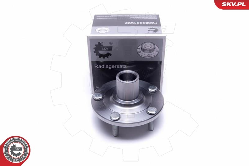 ESEN SKV 29SKV500 Wheel Bearing Kit
