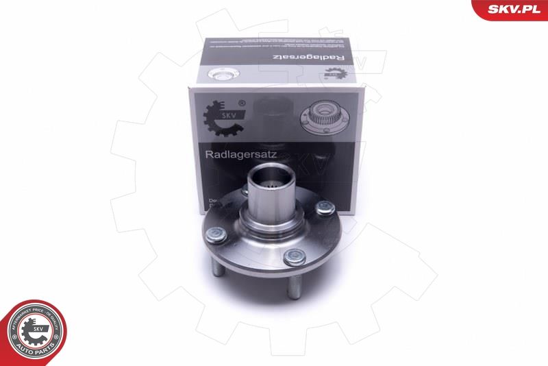 ESEN SKV 29SKV501 Wheel Bearing Kit