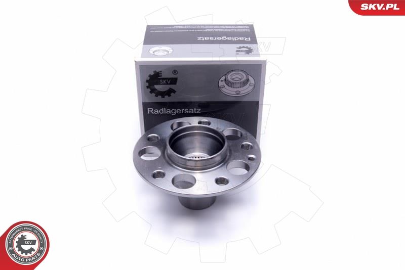 ESEN SKV 29SKV504 Wheel Bearing Kit