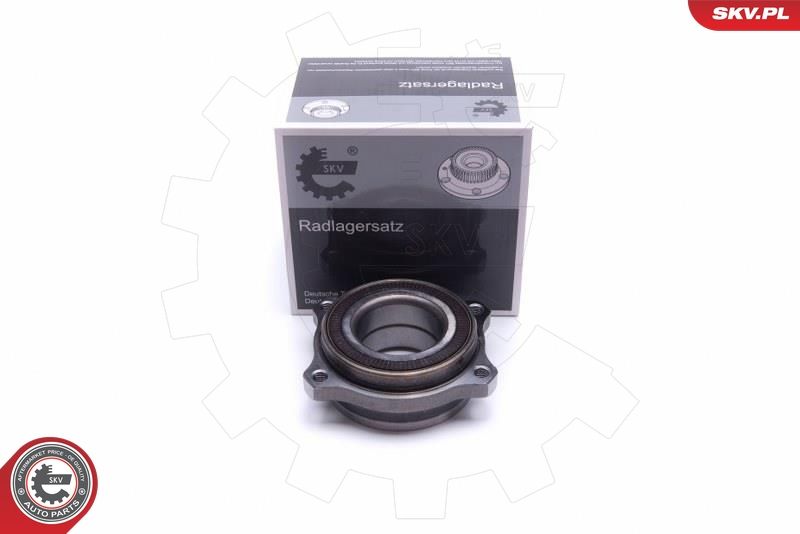 ESEN SKV 29SKV505 Wheel Bearing Kit