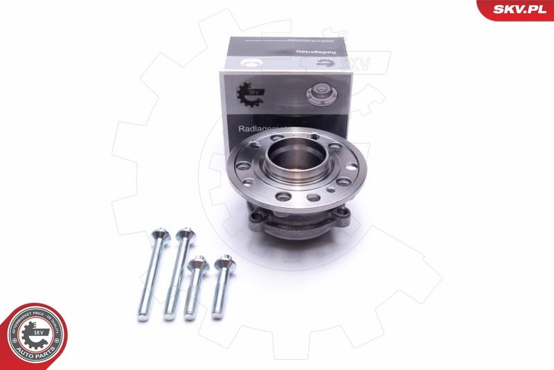 ESEN SKV 29SKV506 Wheel Bearing Kit
