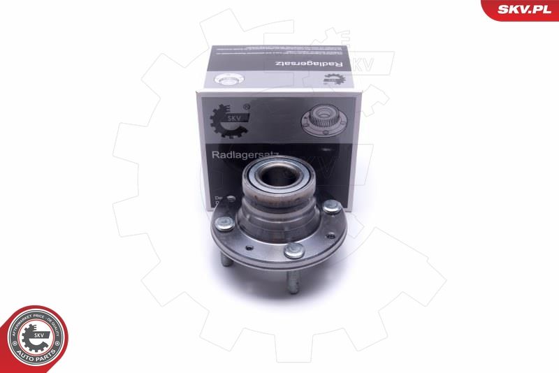 ESEN SKV 29SKV512 Wheel Bearing Kit