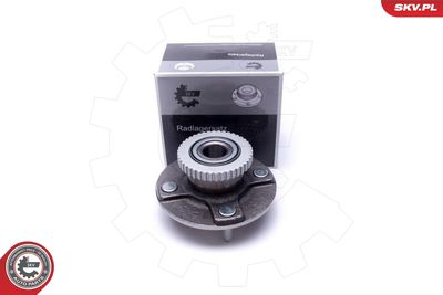 Wheel Bearing Kit ESEN SKV 29SKV520
