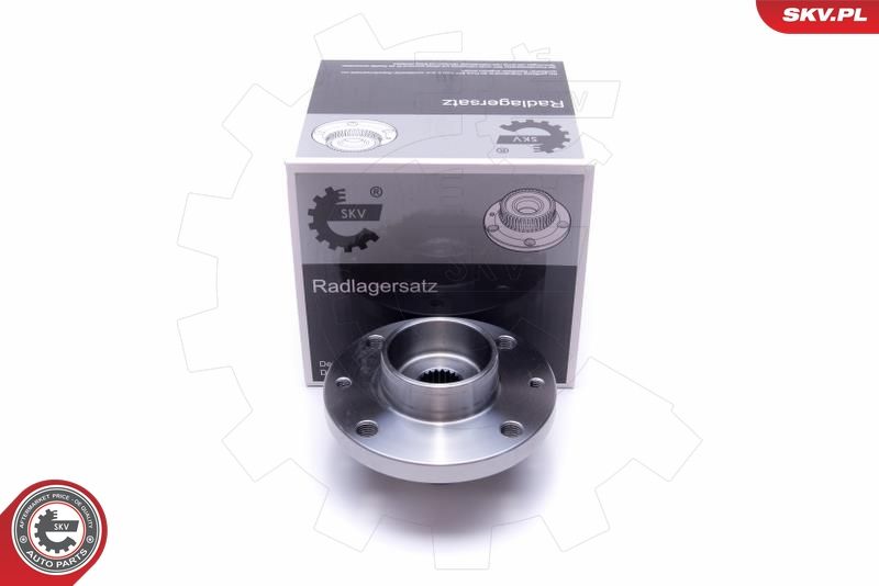 ESEN SKV 29SKV524 Wheel Bearing Kit