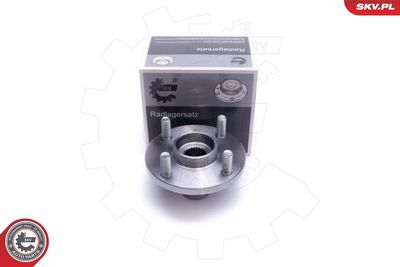 Wheel Bearing Kit ESEN SKV 29SKV531