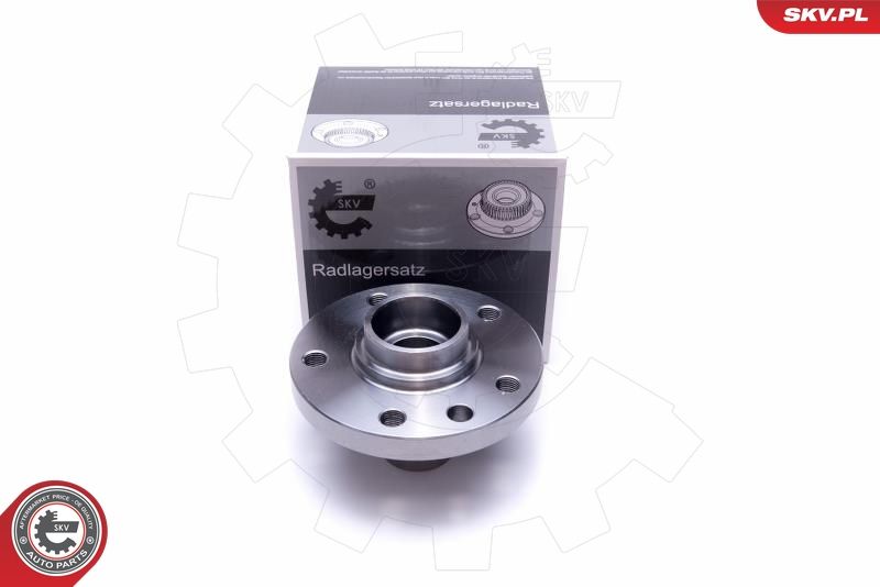 ESEN SKV 29SKV537 Wheel Bearing Kit