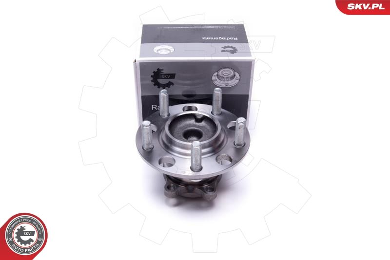 ESEN SKV 29SKV540 Wheel Bearing Kit