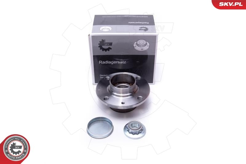 ESEN SKV 29SKV545 Wheel Bearing Kit