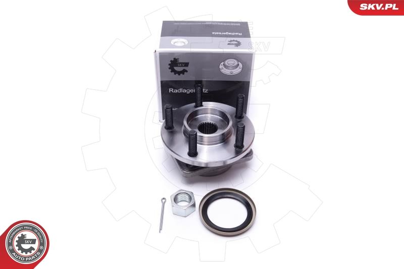 ESEN SKV 29SKV548 Wheel Bearing Kit