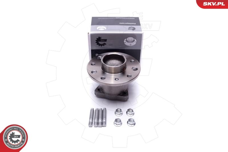 ESEN SKV 29SKV549 Wheel Bearing Kit