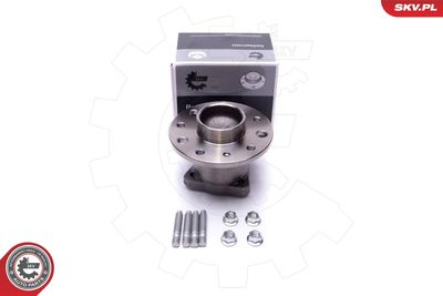 Wheel Bearing Kit ESEN SKV 29SKV549