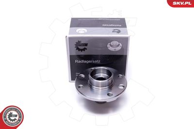 Wheel Hub ESEN SKV 29SKV551