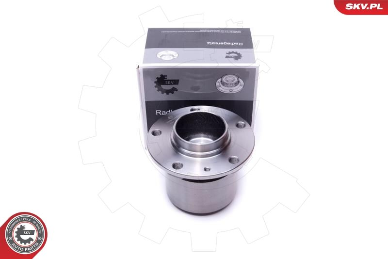 ESEN SKV 29SKV558 Wheel Bearing Kit