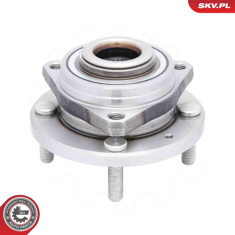 ESEN SKV 29SKV705 Wheel Bearing Kit