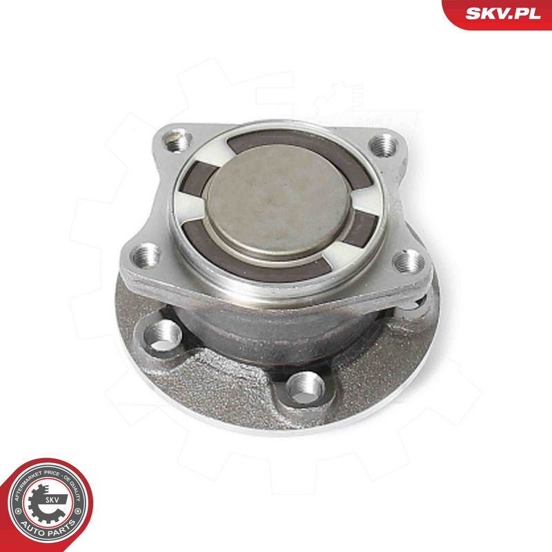 ESEN SKV 29SKV709 Wheel Bearing Kit