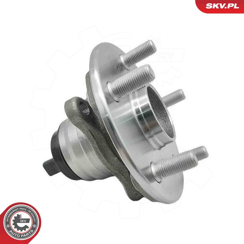 ESEN SKV 29SKV717 Wheel Bearing Kit