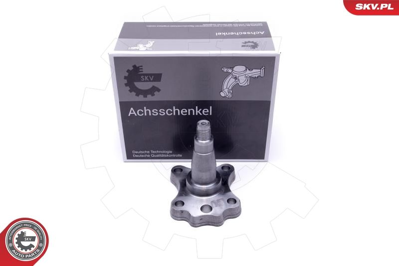 ESEN SKV 29SKV995 Wheel Bearing Kit
