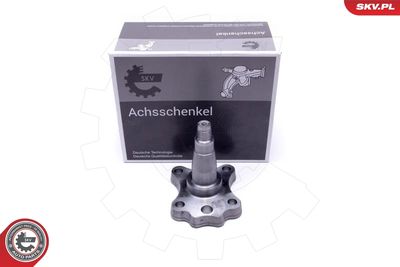 Wheel Bearing Kit ESEN SKV 29SKV995