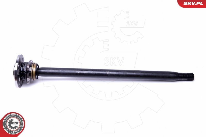 ESEN SKV 29SKV999 Wheel Bearing Kit
