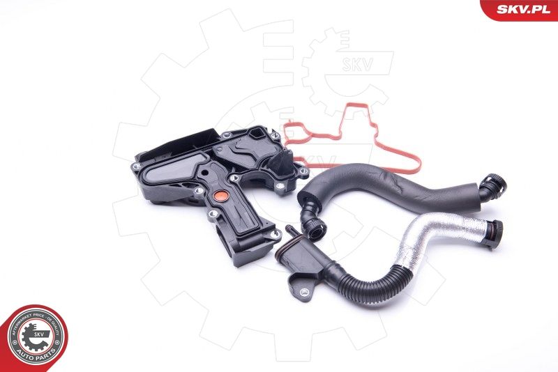 ESEN SKV 31SKV008 Repair Kit, crankcase ventilation