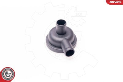 Valve, crankcase ventilation ESEN SKV 31SKV010