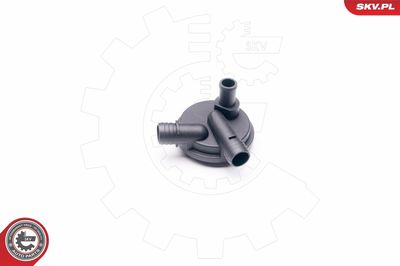 Valve, crankcase ventilation ESEN SKV 31SKV013