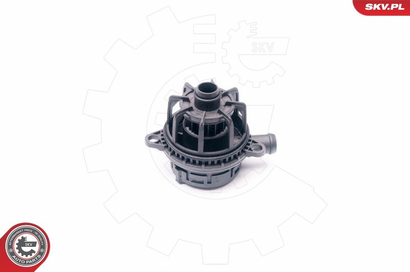 ESEN SKV 31SKV017 Oil Separator, crankcase ventilation