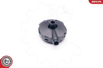 Valve, crankcase ventilation ESEN SKV 31SKV021