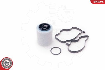 Oil Separator, crankcase ventilation ESEN SKV 31SKV035