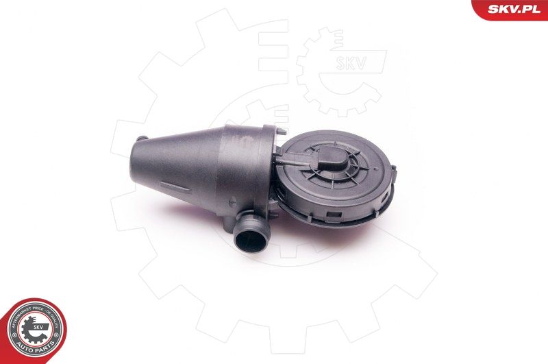 ESEN SKV 31SKV038 Valve, crankcase ventilation