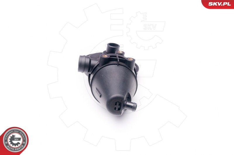 ESEN SKV 31SKV039 Repair Kit, crankcase ventilation