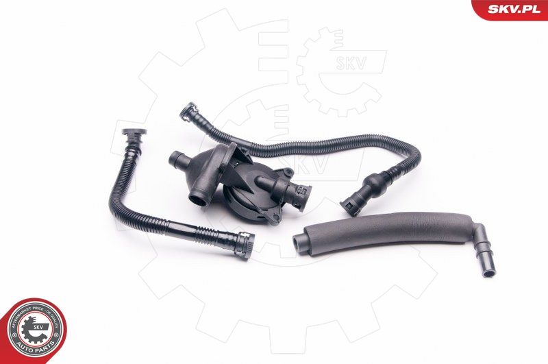 ESEN SKV 31SKV042 Repair Kit, crankcase ventilation