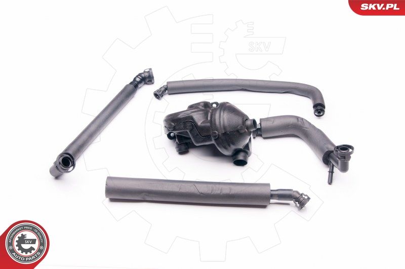 ESEN SKV 31SKV045 Repair Kit, crankcase ventilation