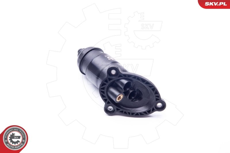 ESEN SKV 31SKV056 Hydraulic Filter, automatic transmission