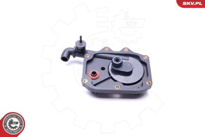 Valve, crankcase ventilation ESEN SKV 31SKV068
