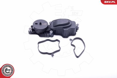 Valve, crankcase ventilation ESEN SKV 31SKV069