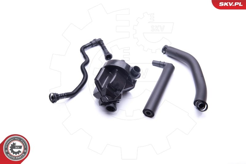 ESEN SKV 31SKV099 Repair Kit, crankcase ventilation