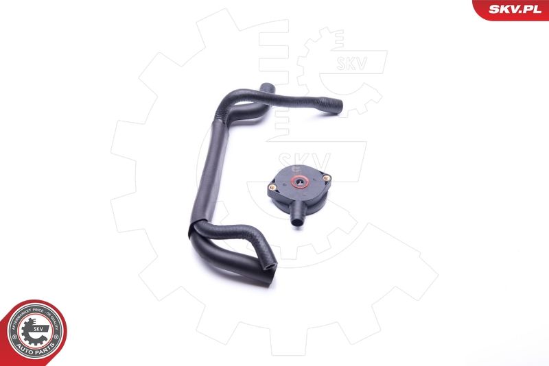 ESEN SKV 31SKV101 Repair Kit, crankcase ventilation