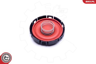 Membrane, crankcase ventilation ESEN SKV 31SKV142