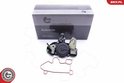 Oil Cooler, engine oil ESEN SKV 31SKV175