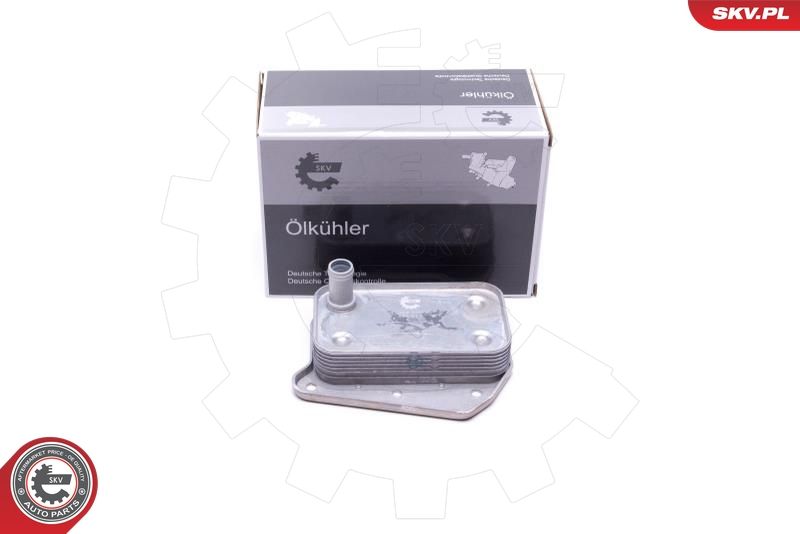 ESEN SKV 31SKV216 Oil Cooler, engine oil