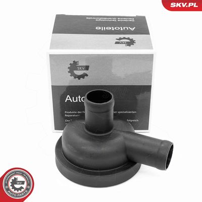 Valve, crankcase ventilation ESEN SKV 31SKV405