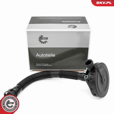 Valve, crankcase ventilation ESEN SKV 31SKV410