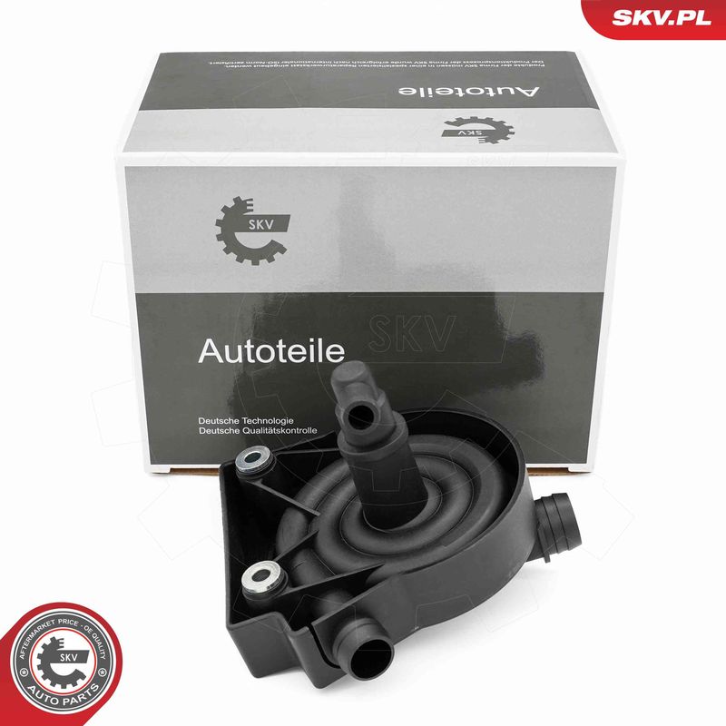 ESEN SKV 31SKV412 Oil Separator, crankcase ventilation