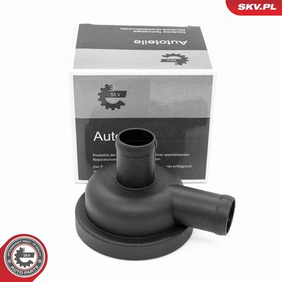 Boost Pressure Control Valve ESEN SKV 31SKV414