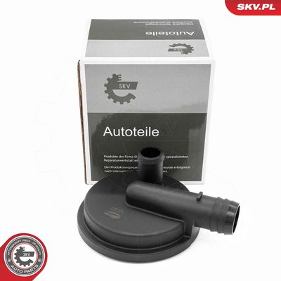 Valve, crankcase ventilation ESEN SKV 31SKV415