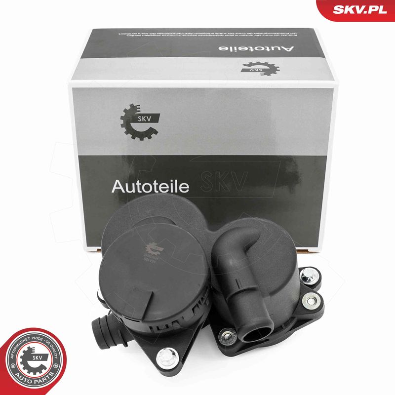 ESEN SKV 31SKV424 Oil Separator, crankcase ventilation