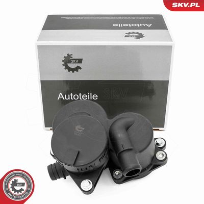 Oil Separator, crankcase ventilation ESEN SKV 31SKV424