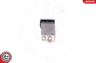 Hazard Warning Light Switch ESEN SKV 36SKV700