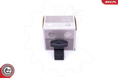 Hazard Warning Light Switch ESEN SKV 36SKV721